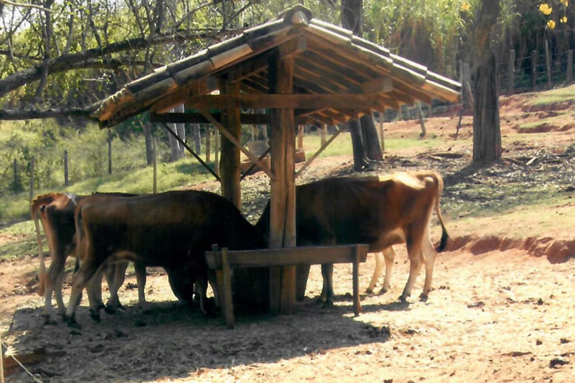 Ampliação da área agropecuária